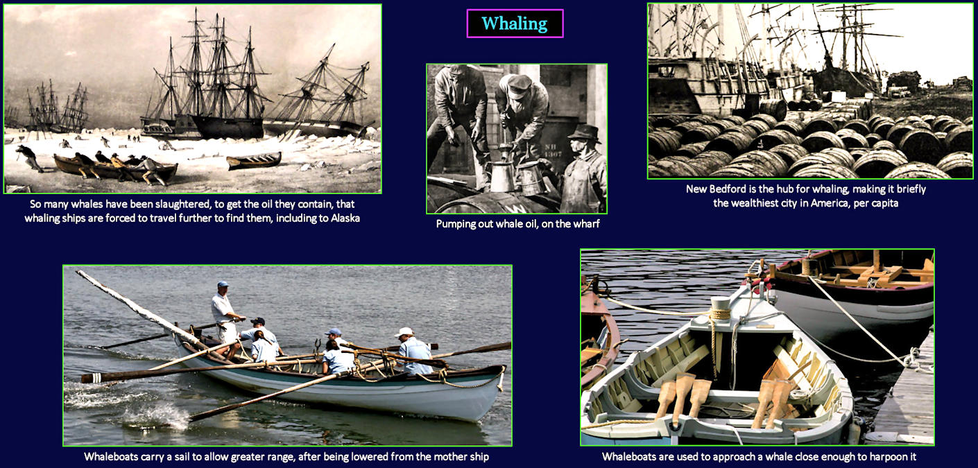 Peak whaling, 1850s